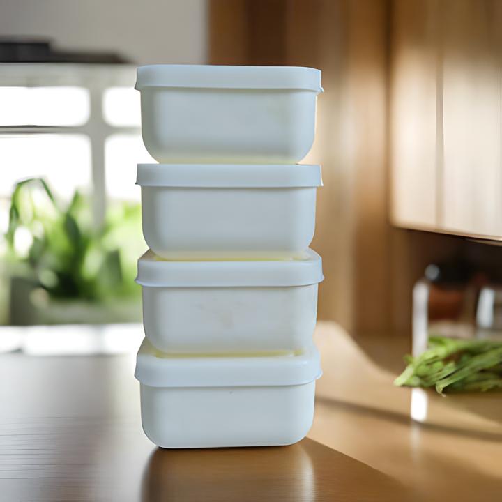 Mini Food Storage Jars (Set of 4)